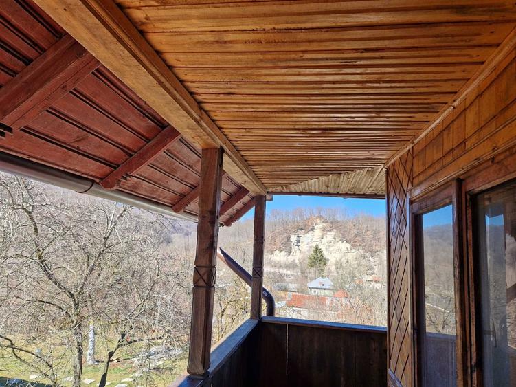 casa de vanzare in natura - 5