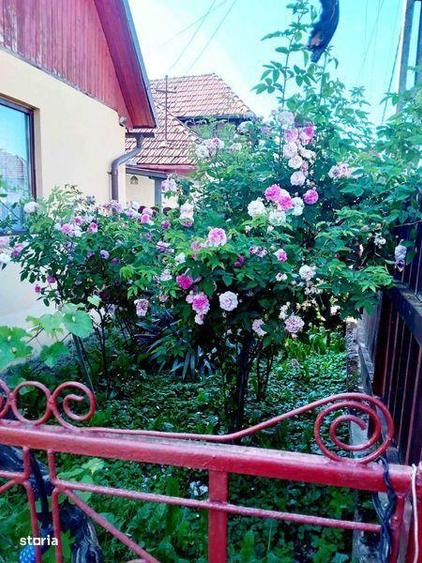 casa in centrul satului CRACIUNESTI la 6 km de SIGHETU MARMATIEI - 4