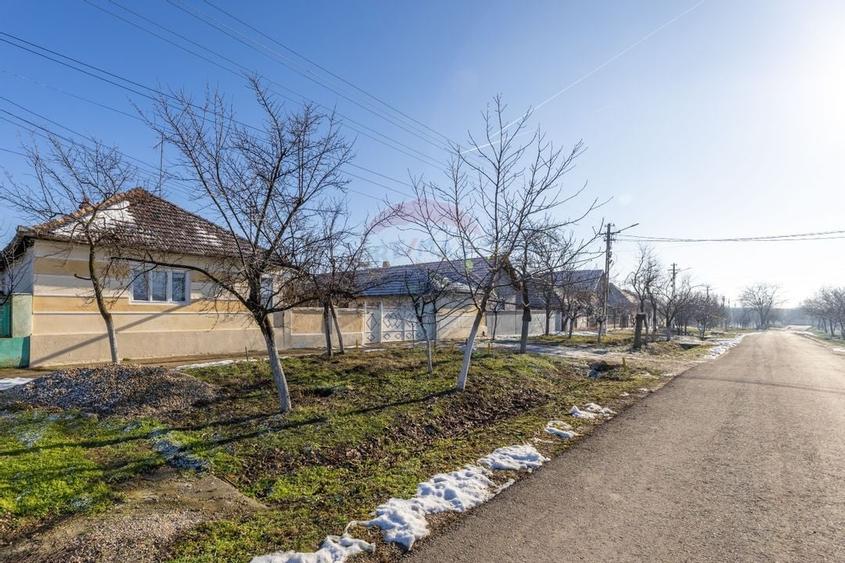 Gospodarie autentică bănățeană, cu teren generos și livadă – Frumușeni - 16
