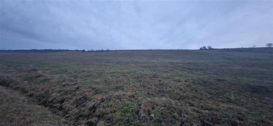 De vanzare teren 1,2 Ha in Laureni - 2