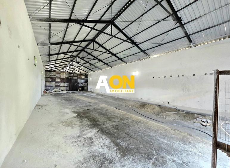 Spațiu industrial, de 280 mp, în Ampoi 1