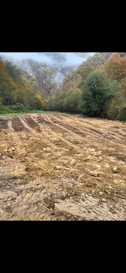 De vanzare Teren tanita 2150 mp - 2