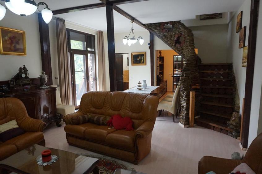 Campina Valea Doftanei Sotrile Paltinu - 8