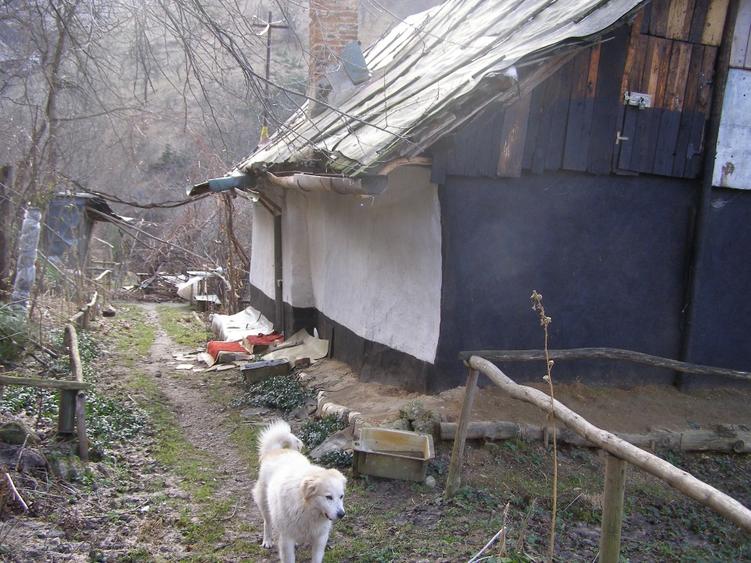 Teren intravilan  Brasov - 6