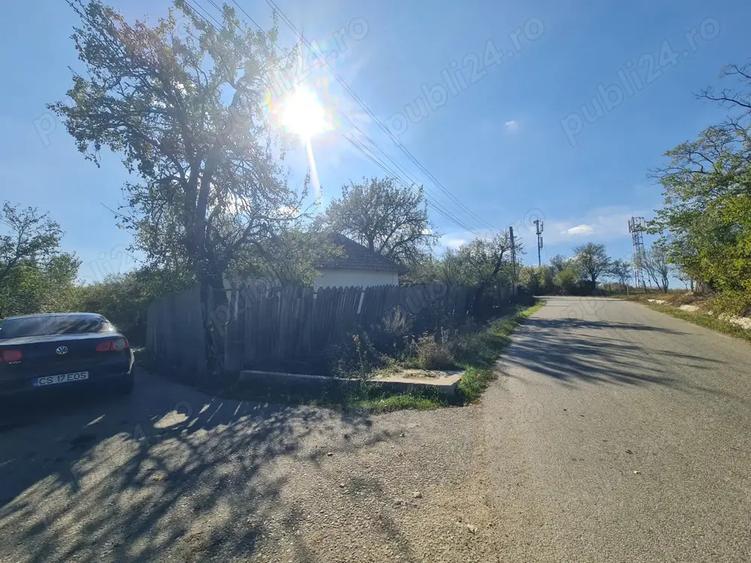 Casa si pamant agricol de vanzare - 4
