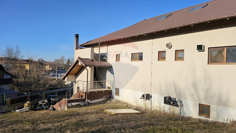 Complex comercial-cofetarie, patiserie pitzerie- Udesti, Suceava - 34