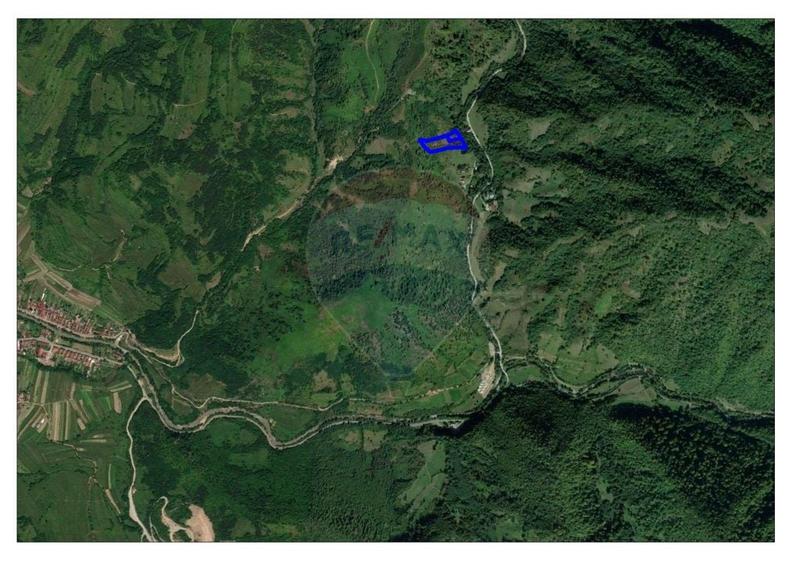 Teren 6700 mp, Apuseni, Pietroasa, Valea Aleului, Bihor, De Vanzare - 2