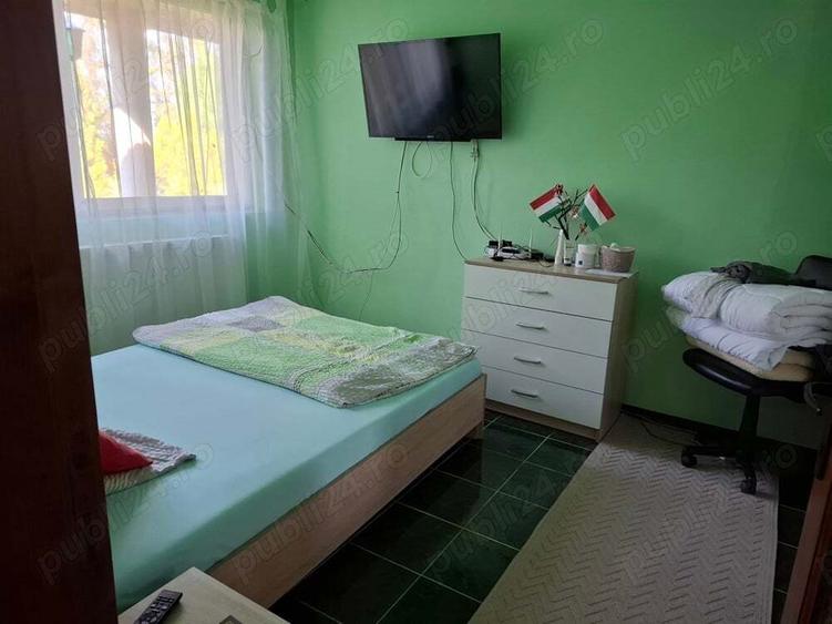 Casa cu lac in comuna Acas jud Saru Mare - 2