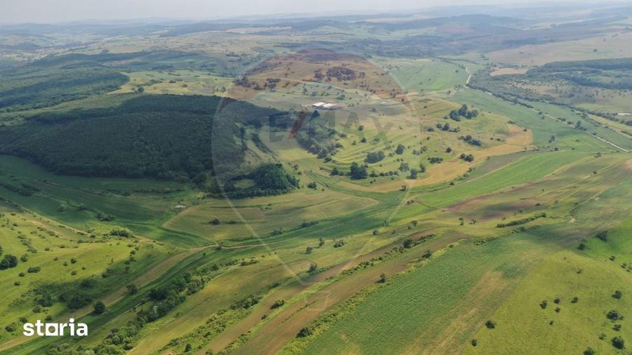 INVESTITIE REZILIENTA 300 HA Teren de vanzare in Zlagna Sibiu - 4