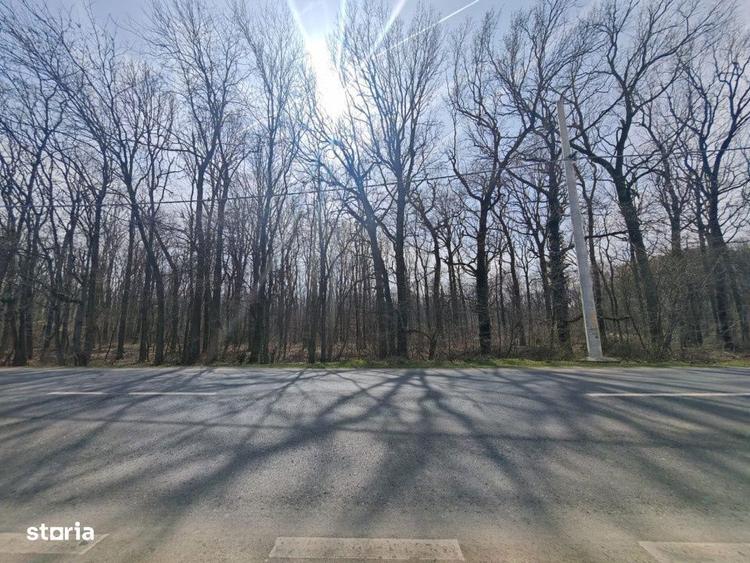 OPORTUNITATE -Teren de Vis la Marginea Padurii 5000 mp in Ciorogar - 2