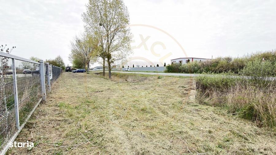 Teren Intravilan 1300 mp / Extravilan 3.700 mp/ DJ 196B Carei (DN 1F) - 9