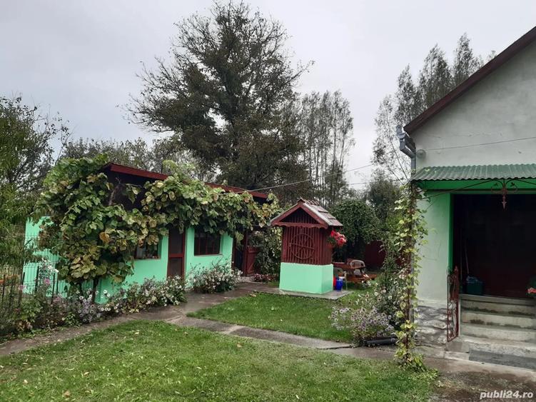 Casa de vanzare in sat Capalnas, comuna Birchis - 6