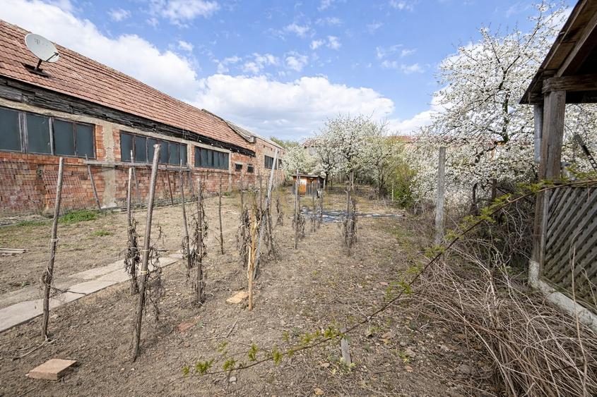 Casă pe Un Nivel - SU 110MP | ST 770MP | 4 Camere - zona Auchan Iris - 13