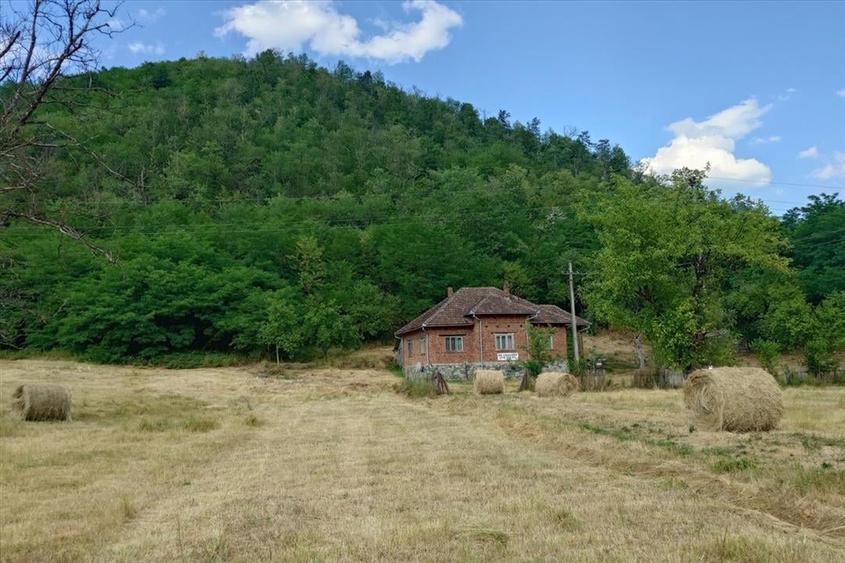 Teren, padure si casa in Dumbrava de Jos, jud. Hunedoara - 2