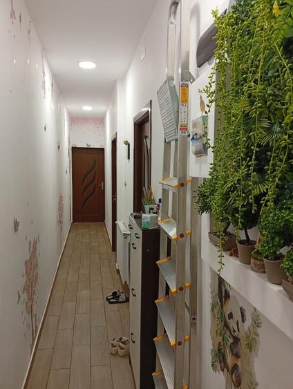Ap 2 camere la curte - 11