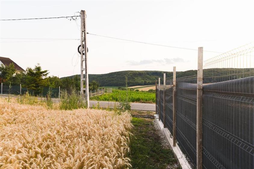 RECO Teren intravilan pentru casa 1000 mp Lazareni - 6