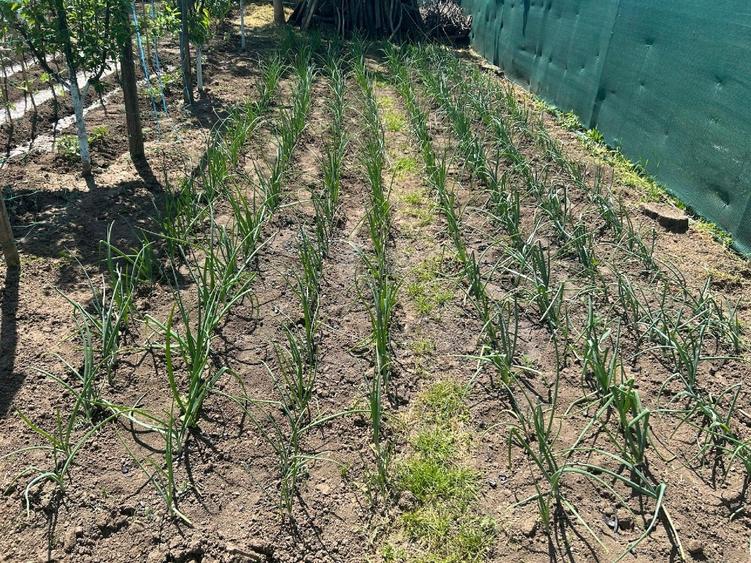 Casa pe structura metalica - 7