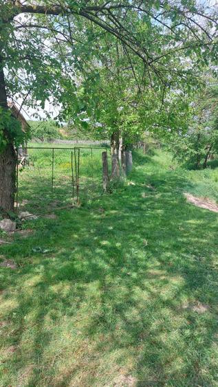 Vand casa cu gradina in suprafata de 2700mp. - 6