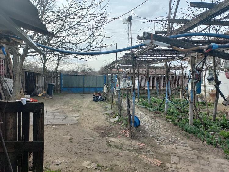 Vand urgent 2 case in aceea?i curte in BARCA, Dolj la 40 km de Craiova - 4