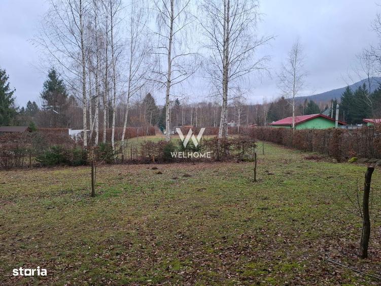 Teren deosebit pozitionat, cu livada, langa padure, pe Valea Avrigulu - 10