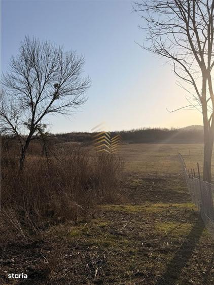 DE VANZARE TEREN EXTRAVILAN - 9