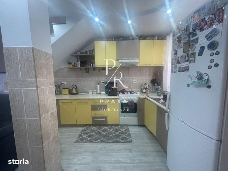 Casa individuala, impreuna cu spatiu comercial amplasata pe un teren d - 13