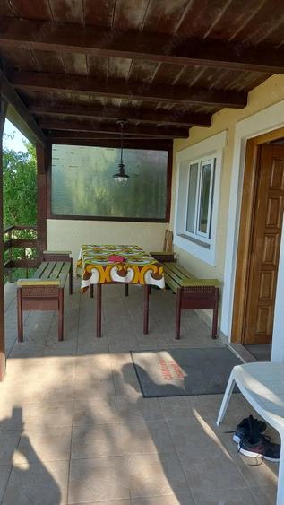 Casa de vacanta Surduc - 7