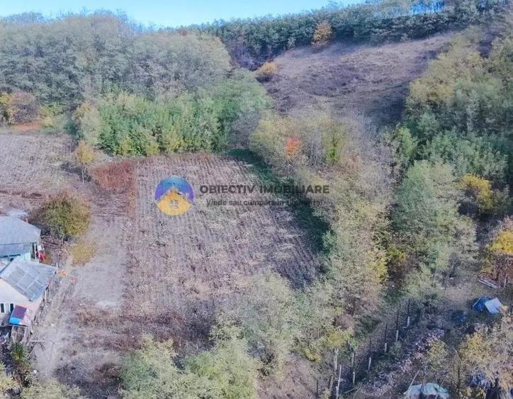 Teren de vanzare 11.766 mp Costi?a, jude?ul Neam? - 9