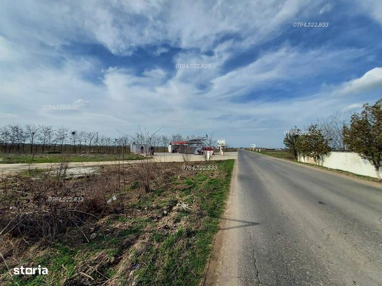 Teren 490500 mp Finan?are direct proprietar aproape Bucure?ti - 5