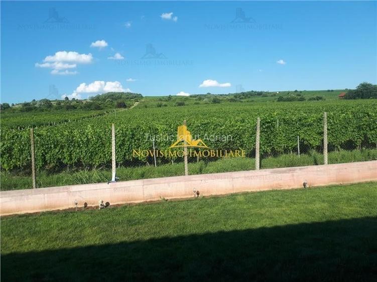 Teren Construcții intravilan de 400 mp, în Bucov Teren Construcții intravilan de 400 mp, în Bucov