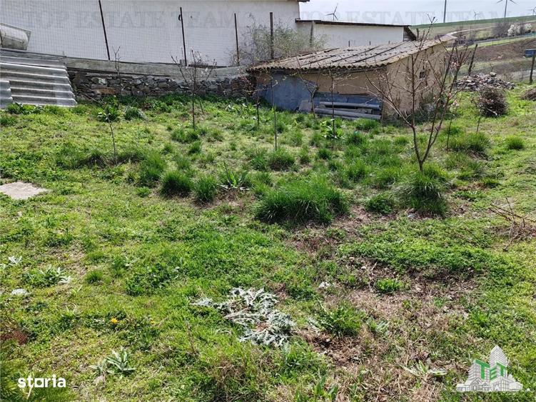 Teren intravilan cu utilitati 4350 mp Pantelimon Jud Constanta - 1