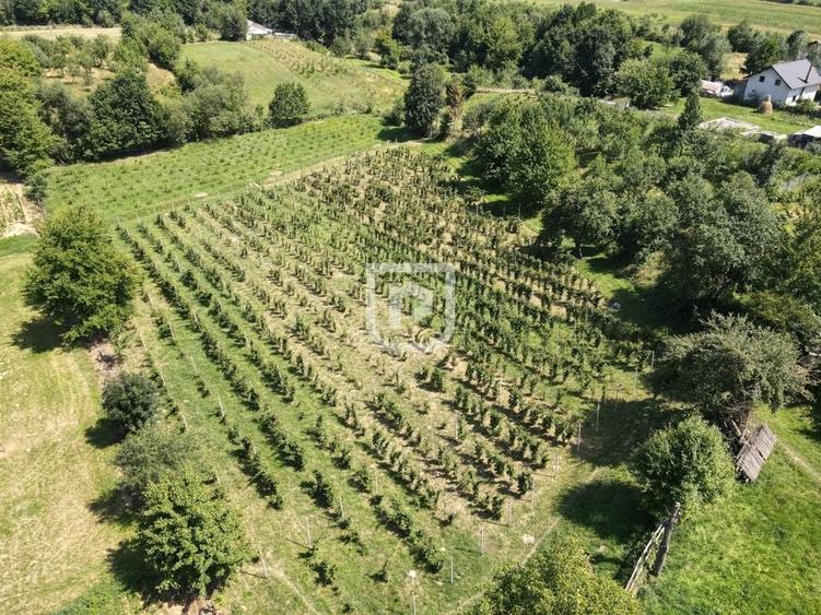 Casa la tara cu 30 ari Rasca - 11