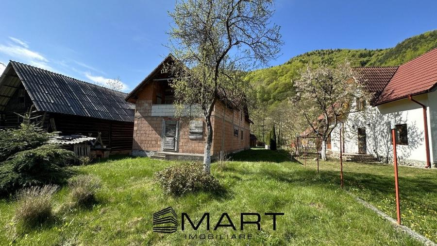 Casa cu teren langa rau Lotrioara - 1