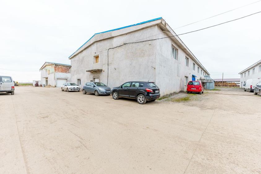 Hală de închiriat Calea Bodrogului 1.000mp - 3