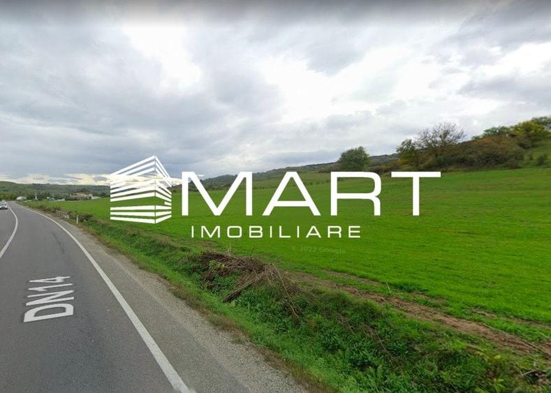 Teren extravilan 42000MP Seica Mare - Sibiu - 2