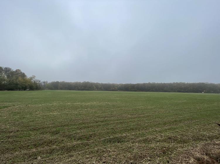 9400 mp | Ideal pentru investitie | Tunari | Deschidere la padure - 5