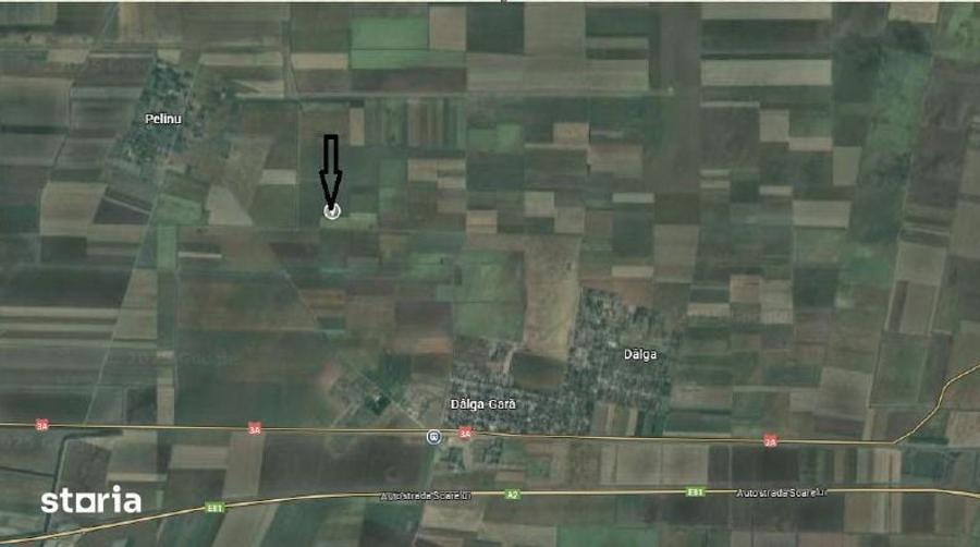 Cota 1/2 teren extravilan. Loc. Dor Marunt, Jud. Calarasi - 5