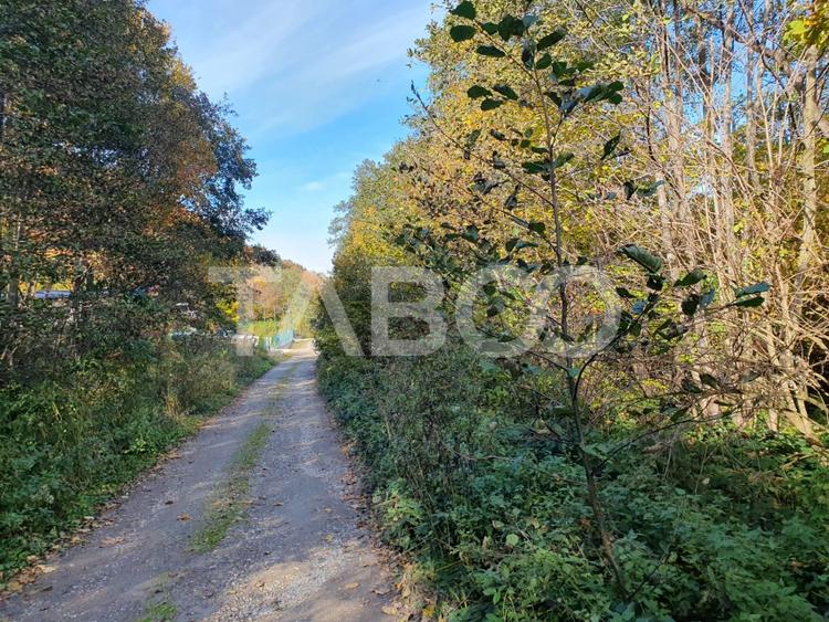 Teren in suprafata de 2990 mp cu vedere la munte zona turistica Lisa - 3