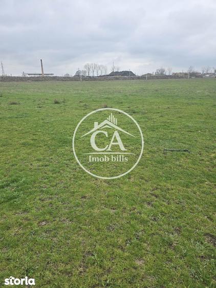 Teren extravilan 150.000 mp de vanzare in Tileagd, Bihor - 1