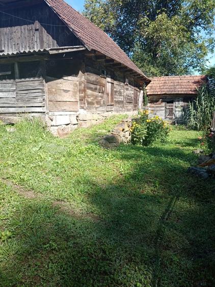 Casa satRostoci com. Plescuta jus. Arad - 3