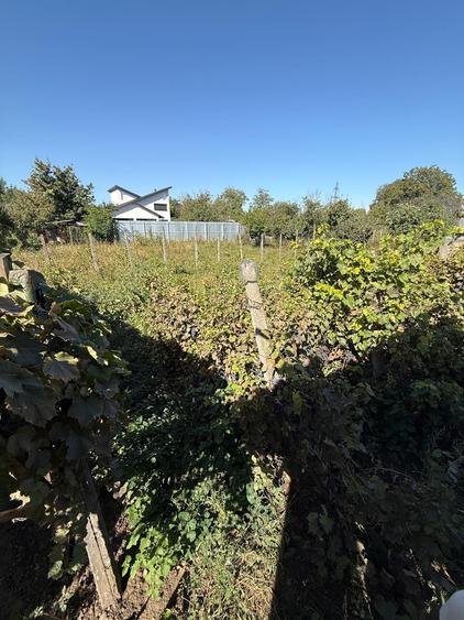 Casa de vanzare cu teren 922 mp Tecuci, cartier Balcescu - 8