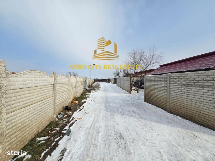 Teren Ganeasa | sat Piteasca - 6