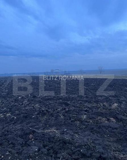 Oportunitate investi?ie, teren 10000 mp, toate utilita?il