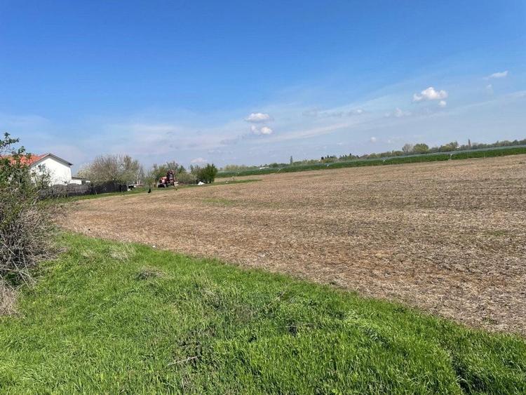 Teren Aeroport Clinceni - 7