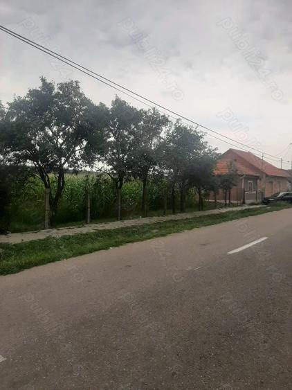 Casa noua de vanzare - 2