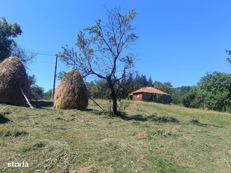 Teren Pietriceaua - 1