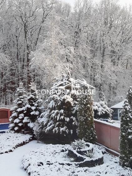 VILA D+P+E+M, 12 camere, piscina , padure, IANCU NICOLAE - 44