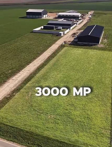 Teren de vanzare 3.002 mp Livada de Bihor zona investitie - 1