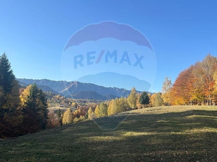 Oportunitate de investiție ! Teren de vis în Pestera - 125.370 mp - 12