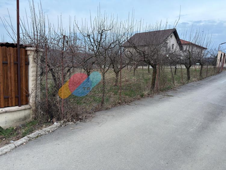 Teren construibil 800mp Borhanci - 4